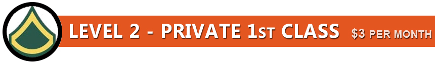 Level 2 PRIVATE 1ST CLASS Banner