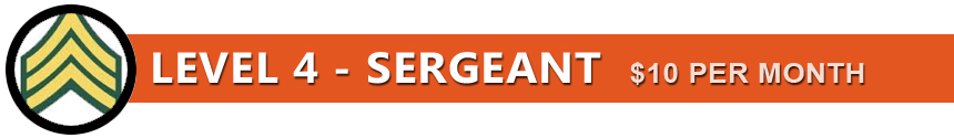 Level 4 SERGEANT Banner