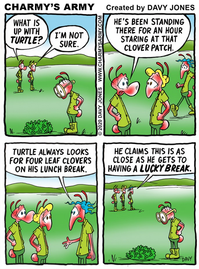 Turtle looks for four leaf clovers in today's comic strip.